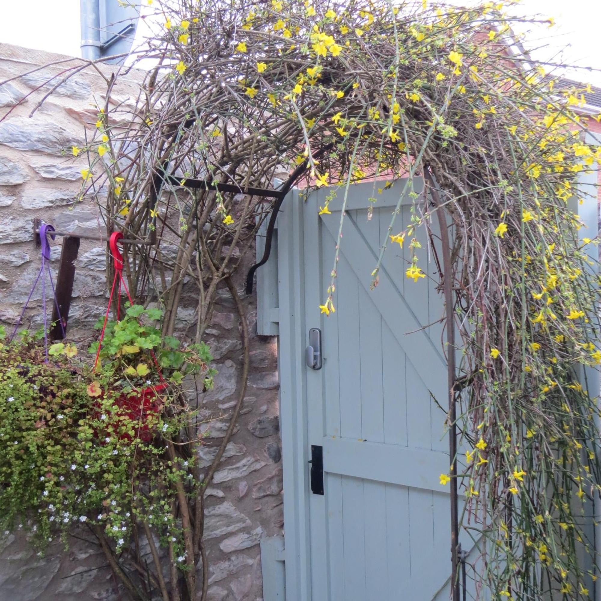 Frog Palace - Secure Parking-Outside Area-Topsham-Exeter-Beach-Chiefs-Wifi Екстер'єр фото
